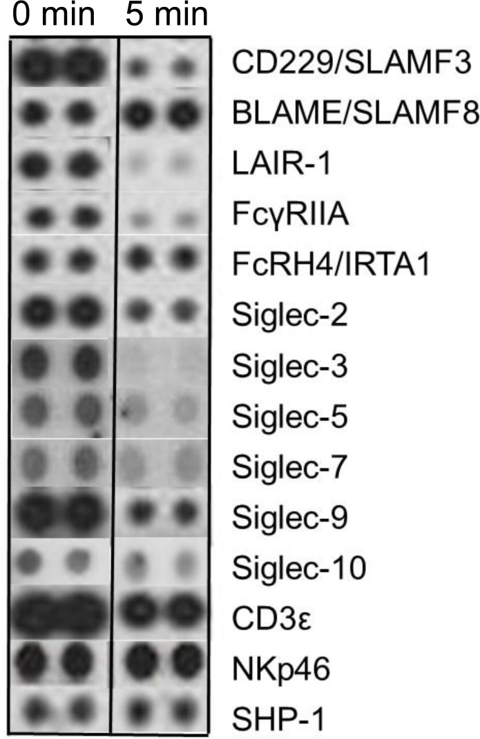 Fig 7