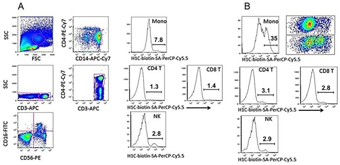 Fig 6