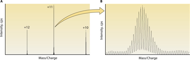 FIG 5