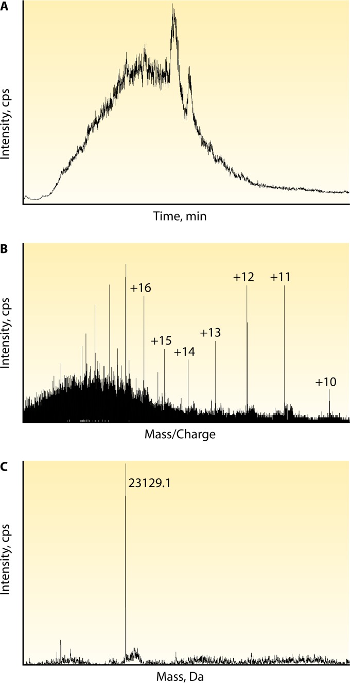 FIG 2