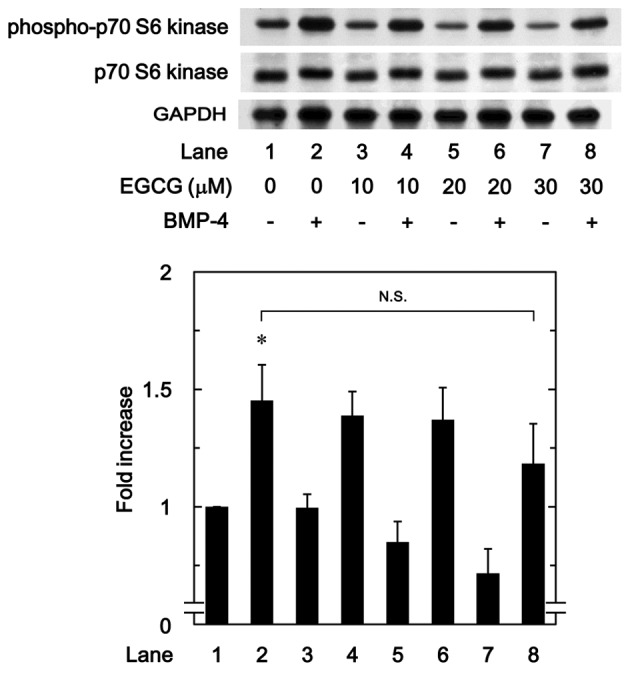 Figure 7.