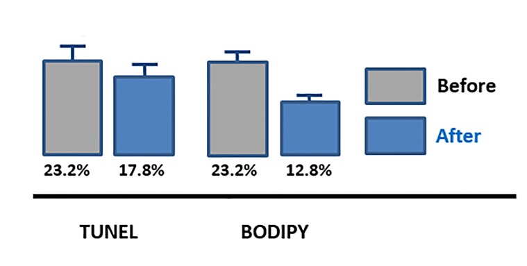 Fig 4