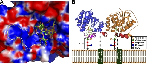 FIGURE 6.