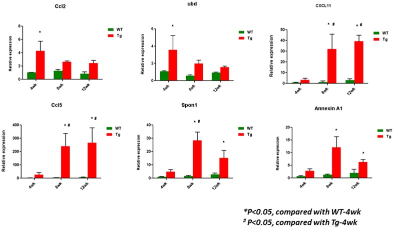 Figure 12