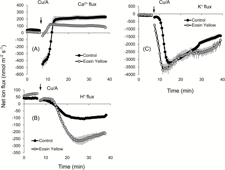 Fig. 8.