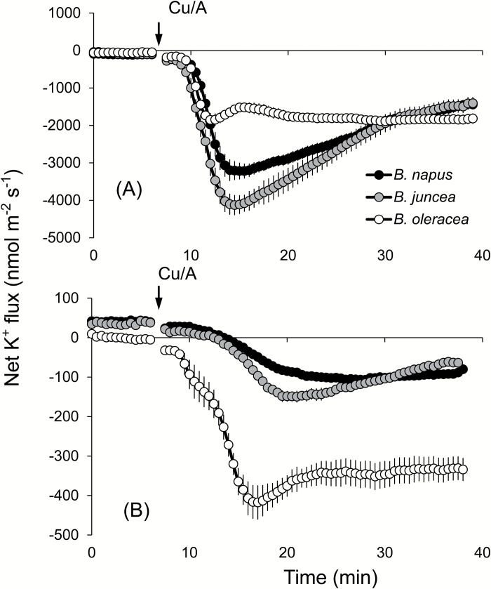 Fig. 6.