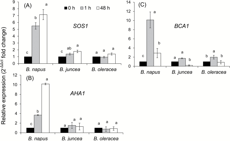 Fig. 9.