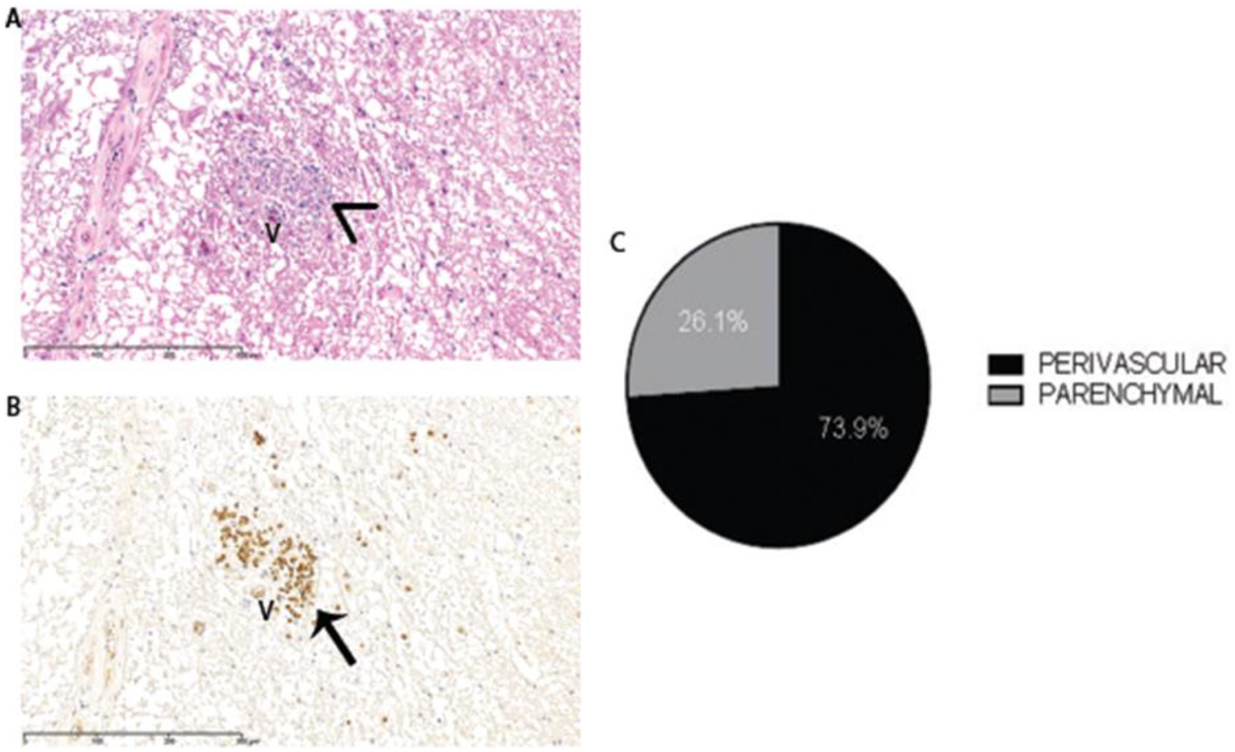 Figure 5: