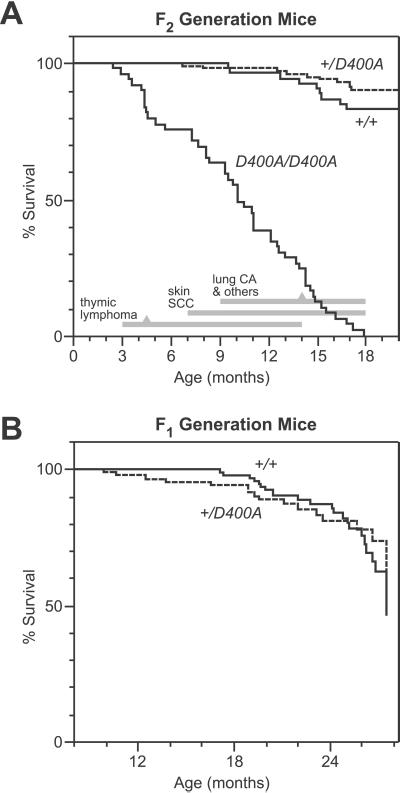 Fig 2.