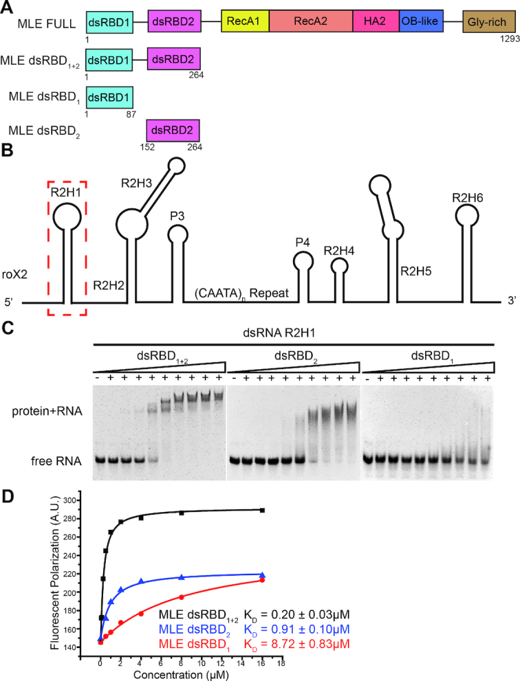 Figure 1.