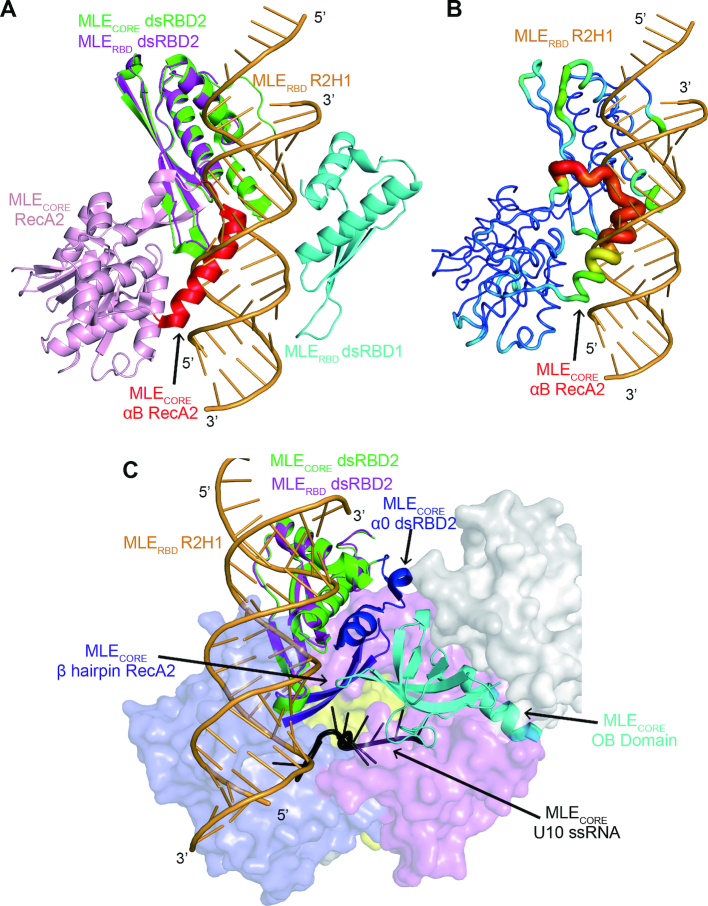 Figure 6.