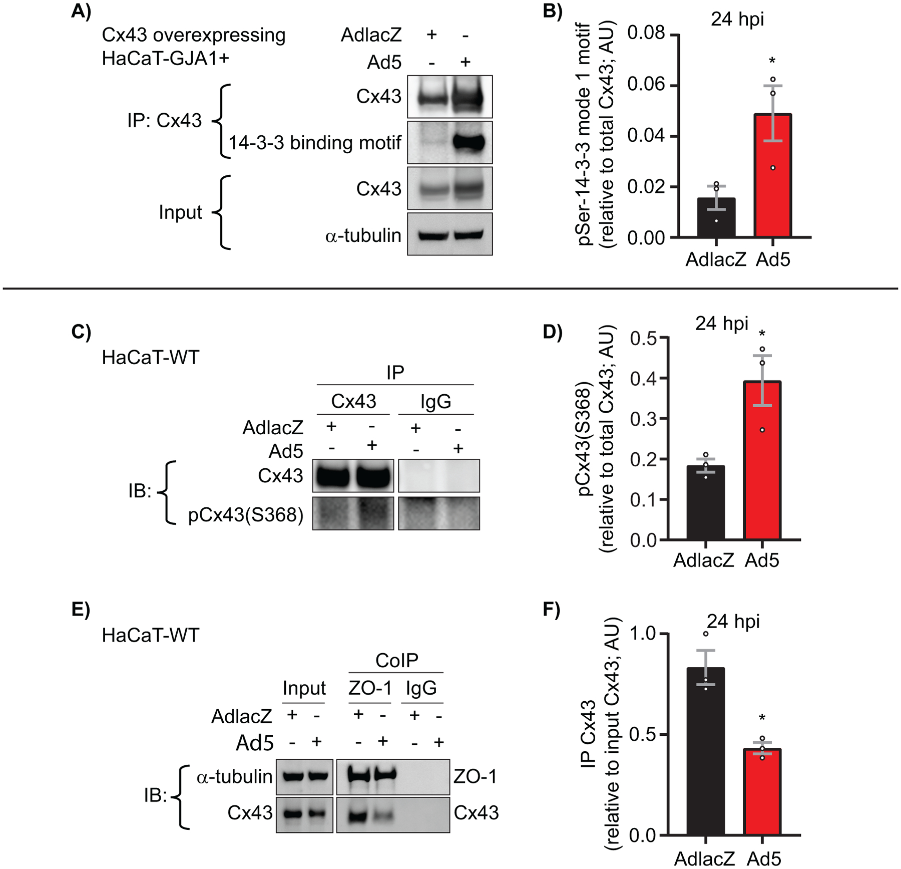 Figure 7)