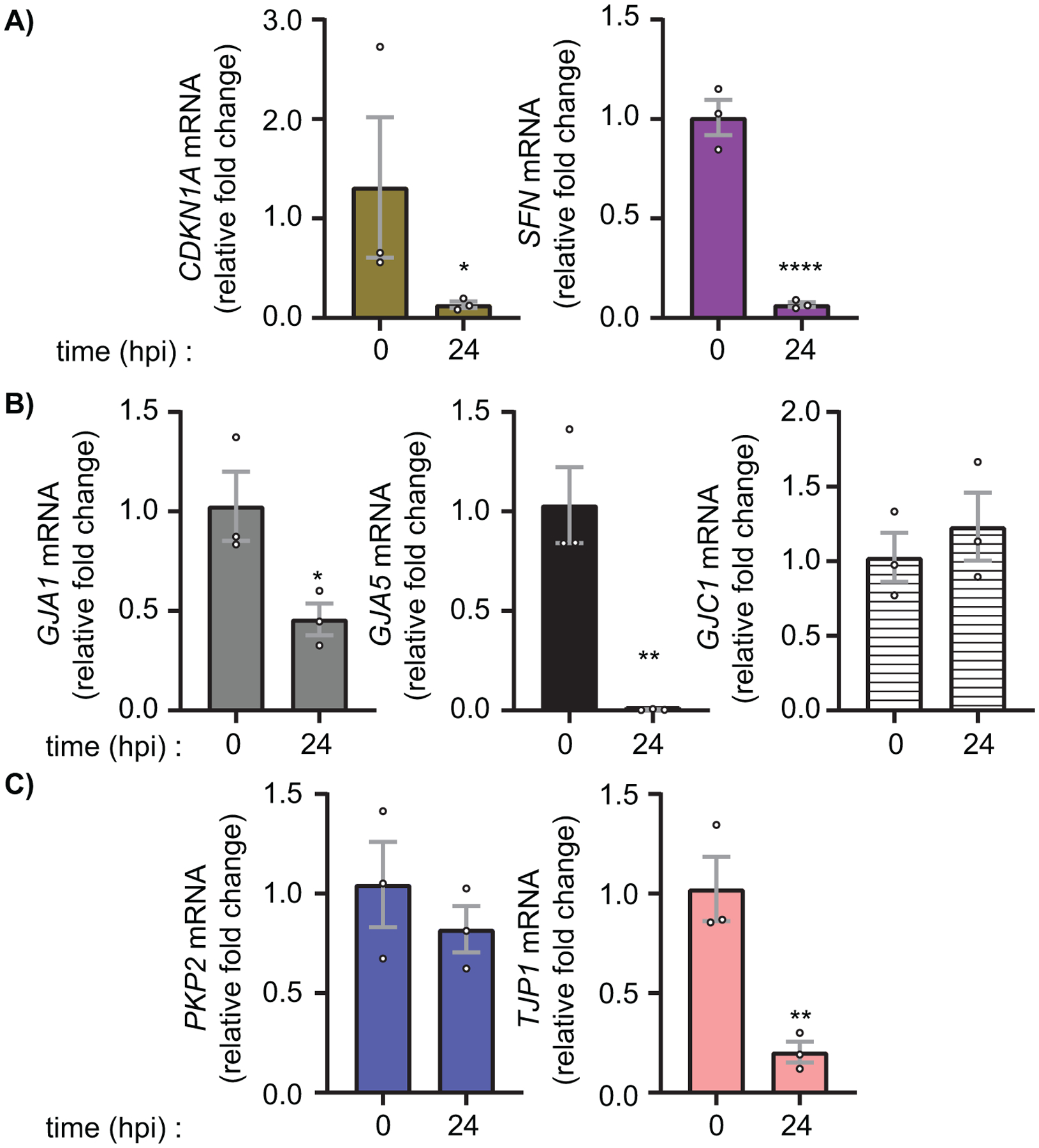 Figure 2)