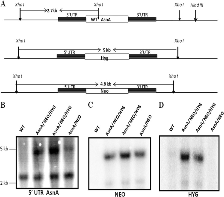 FIGURE 6.