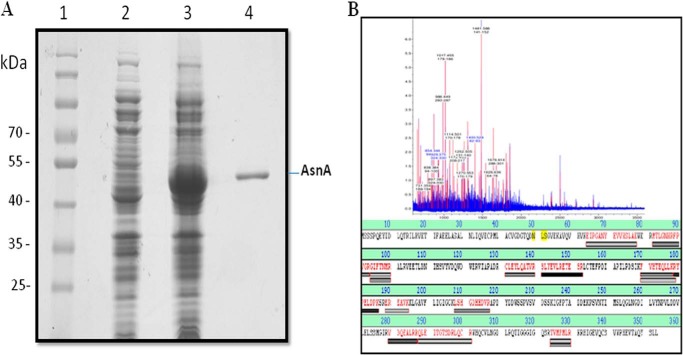 FIGURE 2.