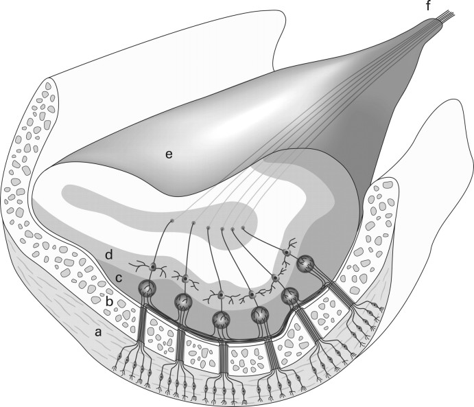 Fig 5.