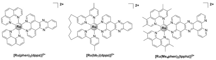 Figure 8