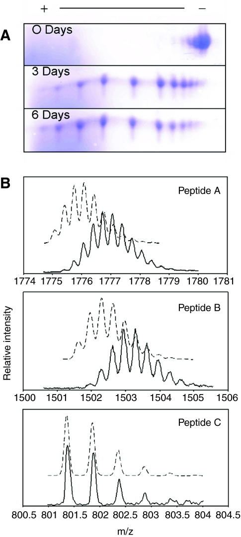 Fig. 9.