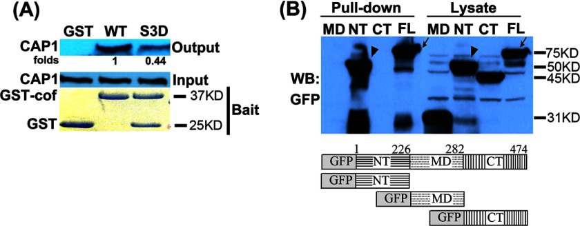 FIGURE 7.