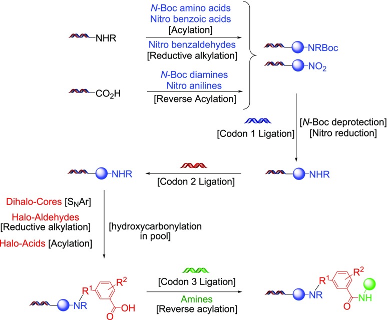 Scheme 5