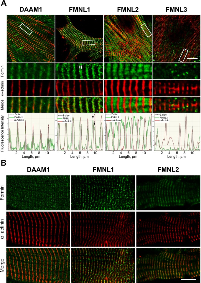 FIGURE 3: