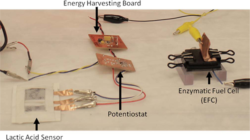 Figure 5