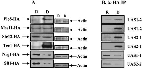 FIG. 9.