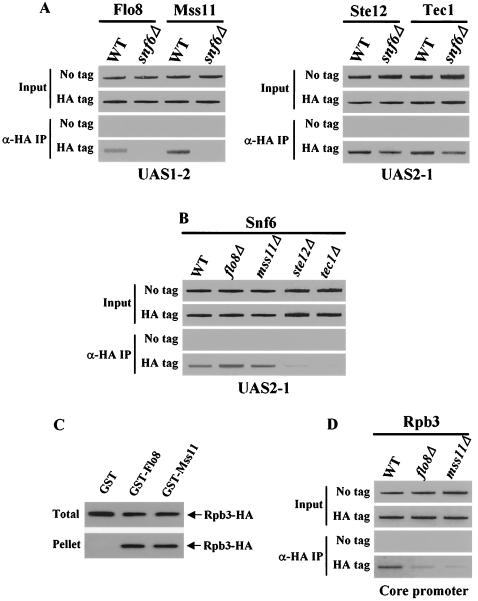 FIG. 7.