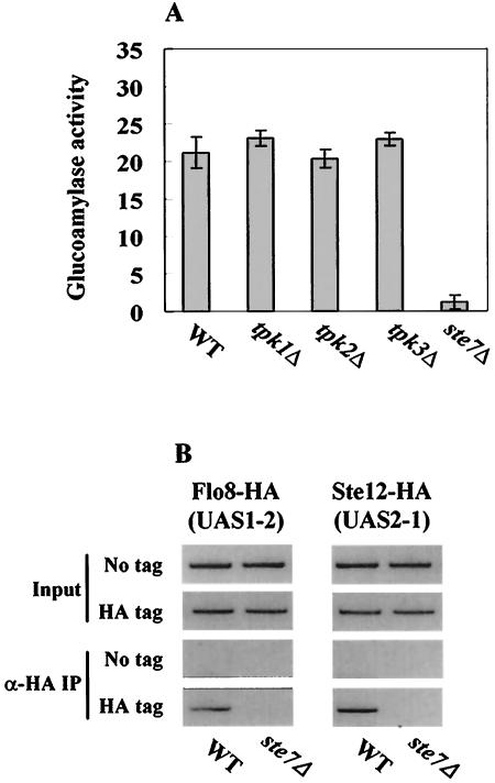 FIG. 8.