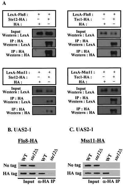 FIG. 4.