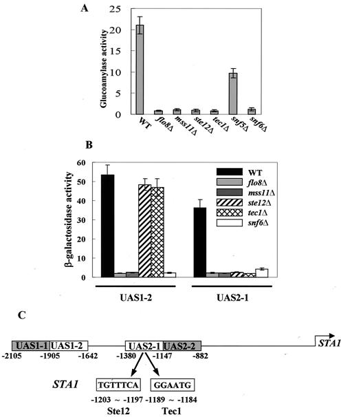 FIG. 1.