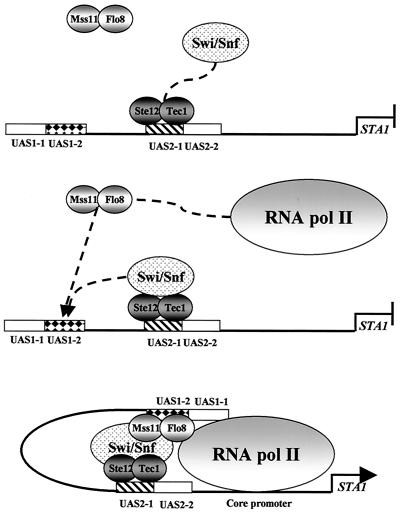 FIG. 10.