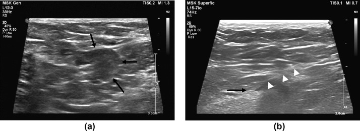 Fig. 3 –