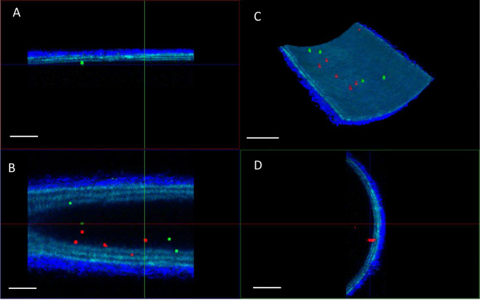 Figure 6.