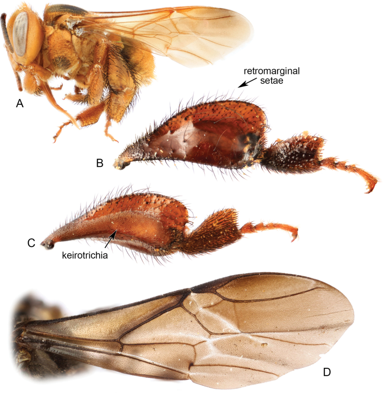 Figure 2.