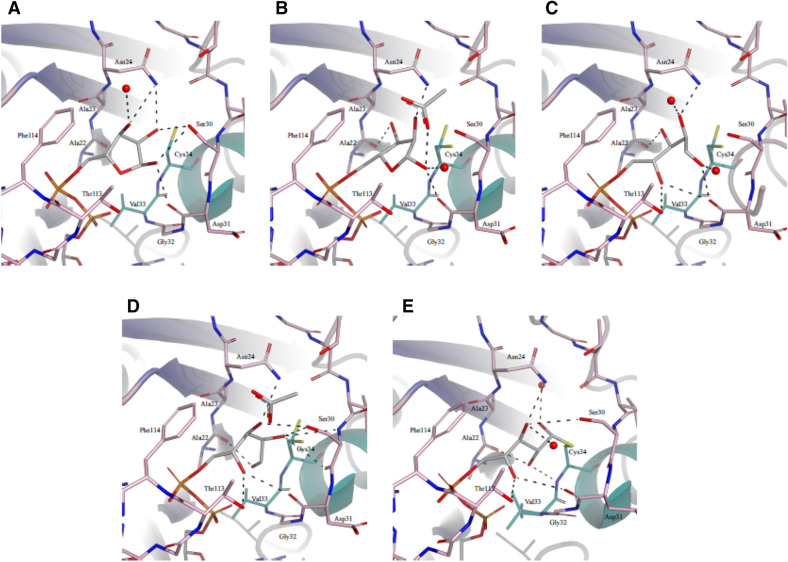 Figure 5