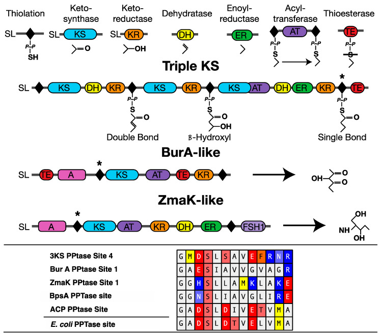 Figure 10