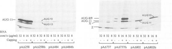 Fig.2