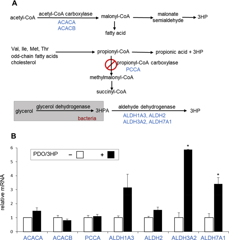 Fig. 4