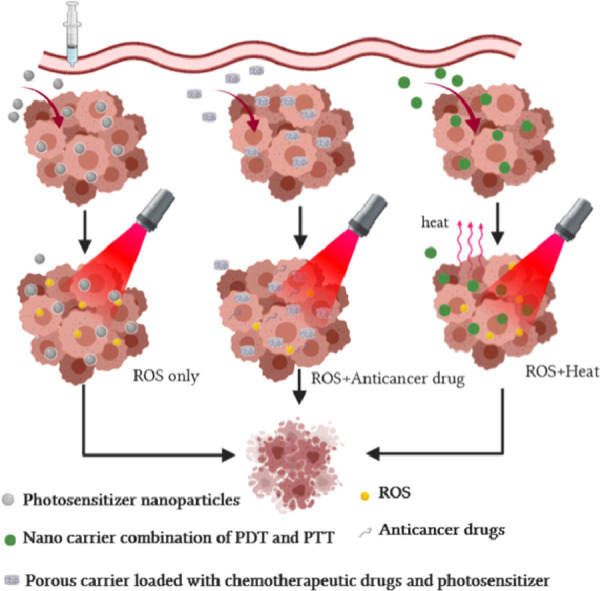 Image, graphical abstract