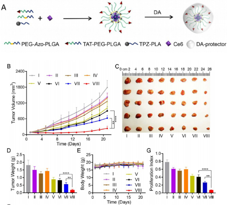 Fig 21