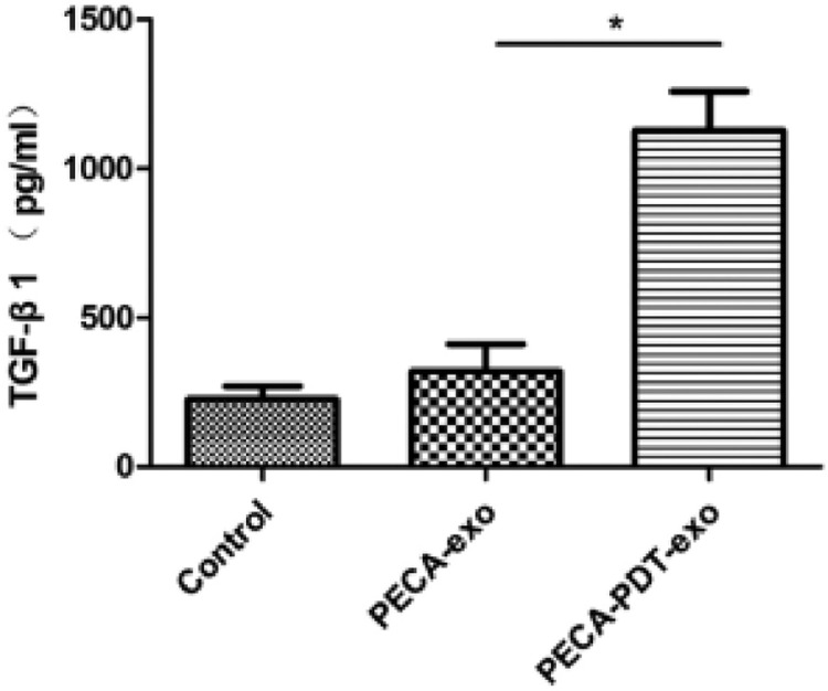 Fig 16