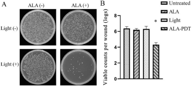 Fig 24