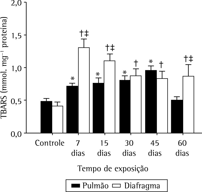 Figura 2