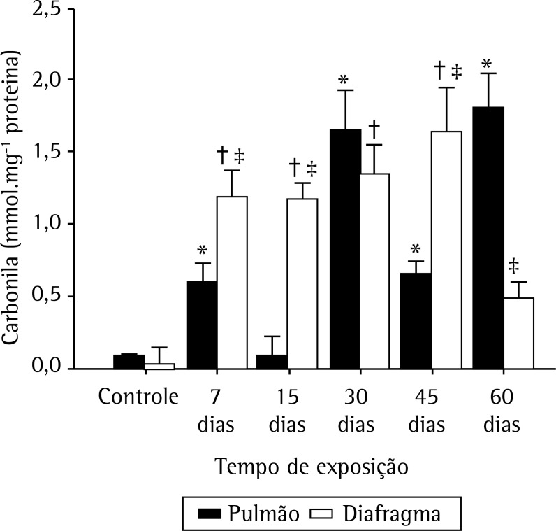 Figura 3