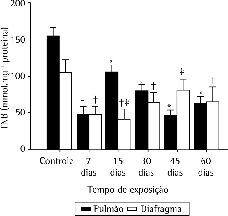 Figura 4