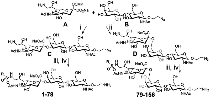 Scheme 1.