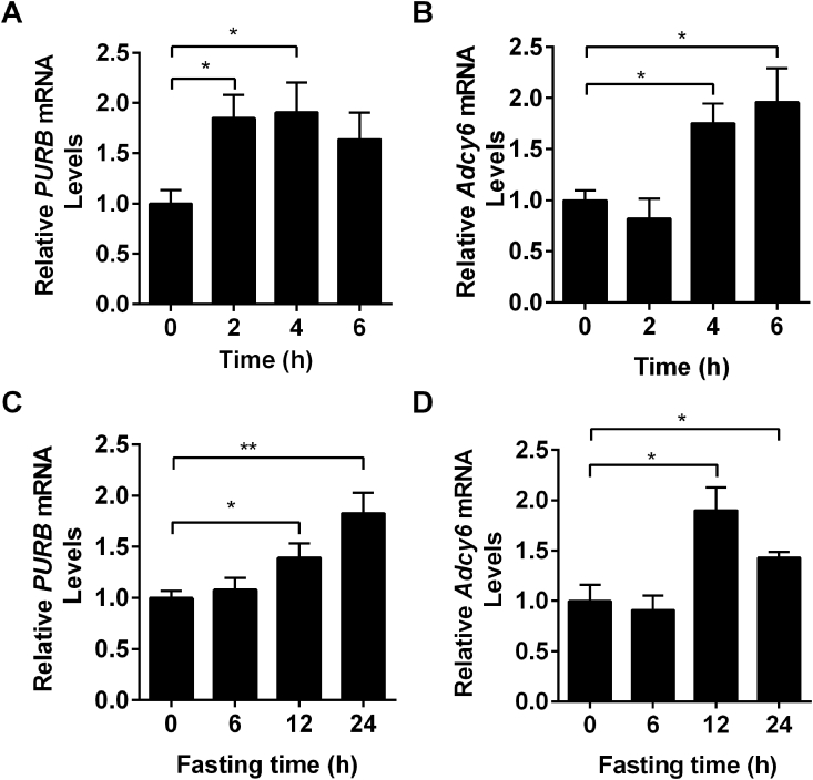 Supplemental Figure 2