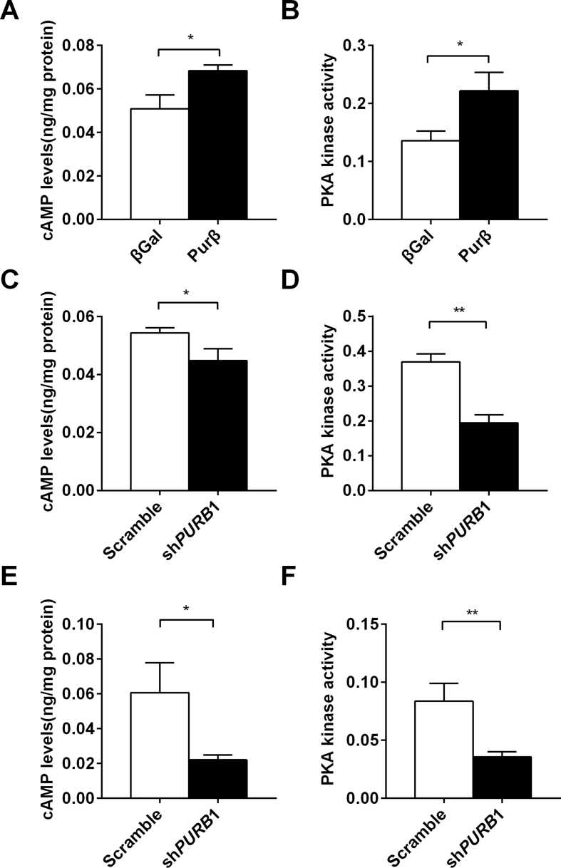 Figure 6