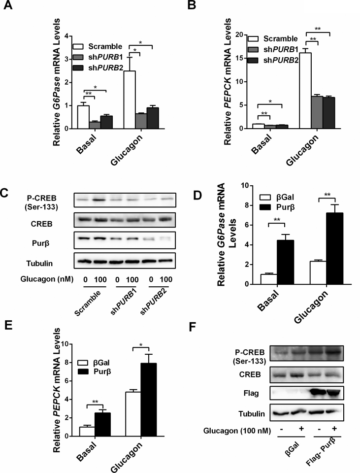 Figure 5